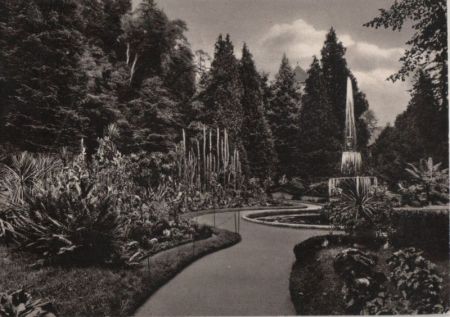 Überlingen - Im Stadtgarten bei den Kakteen - 1965 Überlingen - Im Stadtgarten bei den Kakteen - 1965