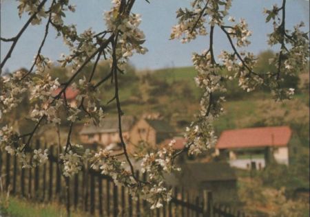 Tschechien - Decin - 1979 Tschechien - Decin - 1979