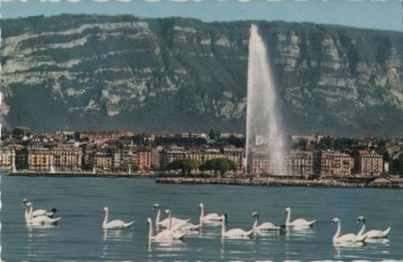 Genf / Genève - Schweiz - Le Jet Genf / Genève - Schweiz - Le Jet