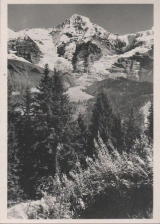 Schweiz - Mönch - ca. 1960 Schweiz - Mönch - ca. 1960