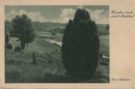 Heideland - ca. 1950 Heideland - ca. 1950