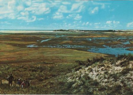 Niederlande - Texel - De Skufter - 1977 Niederlande - Texel - De Skufter - 1977