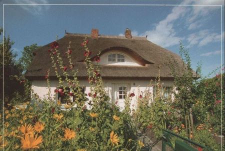 Ahrenshoop - Reetdachhaus - 2003 Ahrenshoop - Reetdachhaus - 2003
