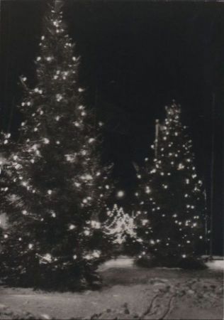 Königsberg - Weihnachtstannen auf Münzplatz - 1971 Königsberg - Weihnachtstannen auf Münzplatz - 1971