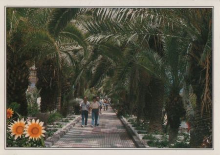 Spanien - Puerto de la Cruz - Paseo de las Palmeras - 2002 Spanien - Puerto de la Cruz - Paseo de las Palmeras - 2002
