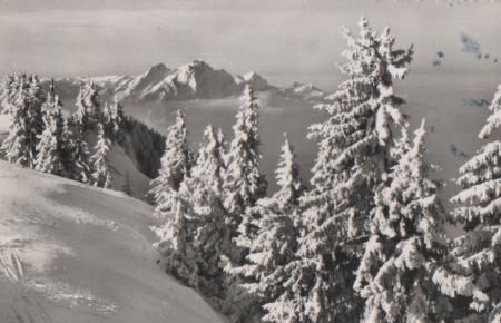 Schweiz - Rigi Staffel - Blick gegen Pilatus - 1955 Schweiz - Rigi Staffel - Blick gegen Pilatus - 1955