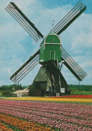 Windmühle und Blumen - ca. 1980 Windmühle und Blumen - ca. 1980