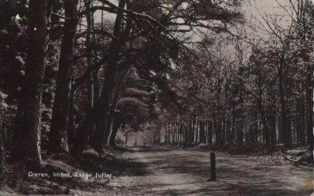 Niederlande - Rheden-Dieren - Imbos, Lange Juffer - 1959 Niederlande - Rheden-Dieren - Imbos, Lange Juffer - 1959