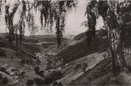 Triberg-Nußbach - Schwarzwaldbahn - ca. 1960 Triberg-Nußbach - Schwarzwaldbahn - ca. 1960