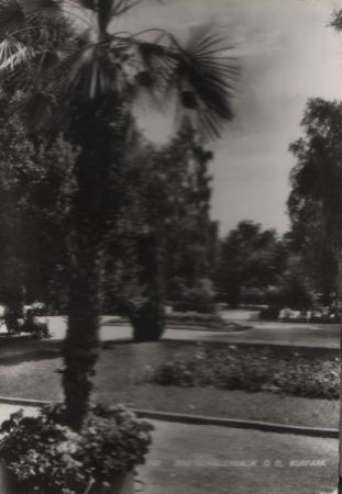 Österreich - Bad Schallerbach - Kurpark - 1960 Österreich - Bad Schallerbach - Kurpark - 1960