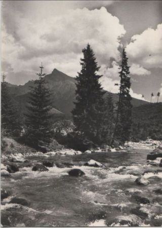 Slowakei - Vysoke Tatry - Hohe Tatra - Der Krivan - 1968 Slowakei - Vysoke Tatry - Hohe Tatra - Der Krivan - 1968