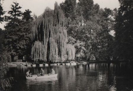 Ungarn - Miskolc - Tö - 1963 Ungarn - Miskolc - Tö - 1963