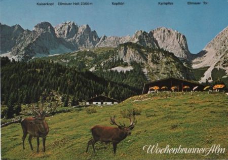 Österreich - Ellmau - Wochenbrunner Alm - ca. 1980 Österreich - Ellmau - Wochenbrunner Alm - ca. 1980
