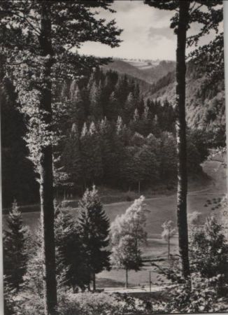 Frauenwald - Blick vom Pfaffkopf - 1977 Frauenwald - Blick vom Pfaffkopf - 1977
