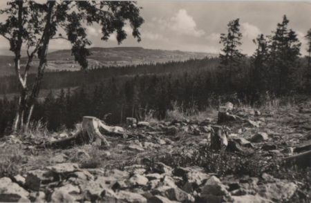 Altenberg-Kipsdorf - Blick vom Tellkoppe - 1961 Altenberg-Kipsdorf - Blick vom Tellkoppe - 1961