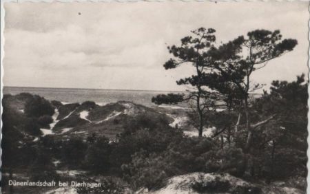 Dierhagen - Dünenlandschaft - ca. 1965 Dierhagen - Dünenlandschaft - ca. 1965