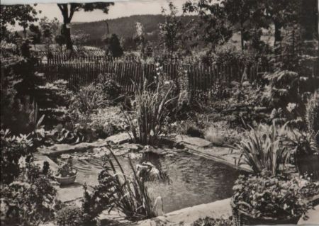 Eisfeld-Hinterrod - Park-Cafe, Anlagen im Garten - 1968 Eisfeld-Hinterrod - Park-Cafe, Anlagen im Garten - 1968