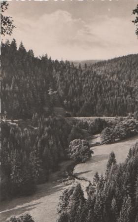 Hasselfelde - Hasseltal mit Rabenstein - 1962 Hasselfelde - Hasseltal mit Rabenstein - 1962
