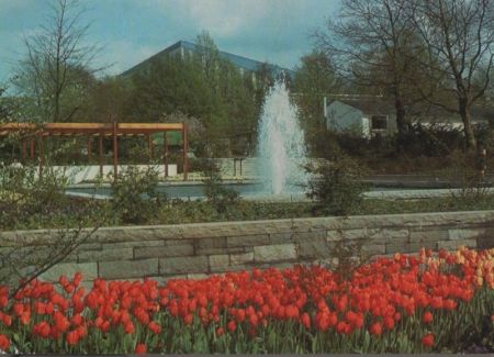 Essen - Grugapark, Farbenterrassen - ca. 1980 Essen - Grugapark, Farbenterrassen - ca. 1980