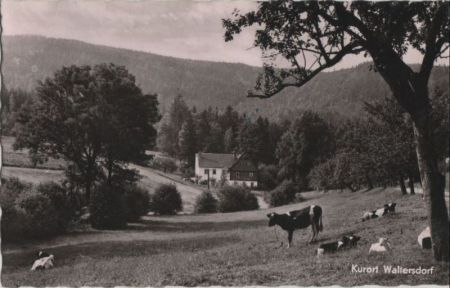 Großschönau-Waltersdorf - 1961 Großschönau-Waltersdorf - 1961