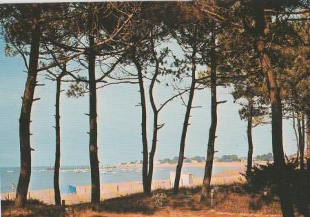 Frankreich - La Tranche sur Mer - Plage - 1977 Frankreich - La Tranche sur Mer - Plage - 1977