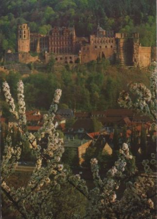 Heidelberg - Schloss - 1985 Heidelberg - Schloss - 1985
