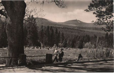 Schierke - Promenade mit Blick zum Wurmberg - 1968 Schierke - Promenade mit Blick zum Wurmberg - 1968