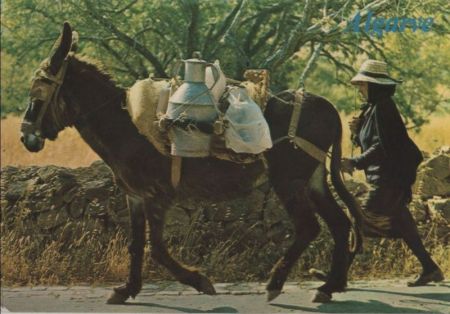 Portugal - Algarve - 1981 Portugal - Algarve - 1981
