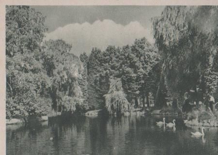 Neuenahr-Ahrweiler - Bad Neuenahr - Kaiser-Wilhelm-Park - ca. 1955 Neuenahr-Ahrweiler - Bad Neuenahr - Kaiser-Wilhelm-Park - ca. 1955