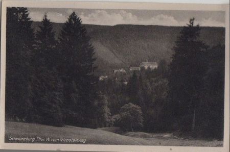 Schwarzburg - vom Trippsteinweg - ca. 1950 Schwarzburg - vom Trippsteinweg - ca. 1950