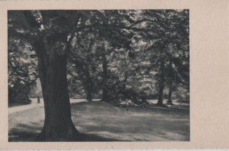 Ein unbekannter Park - ca. 1955 Ein unbekannter Park - ca. 1955