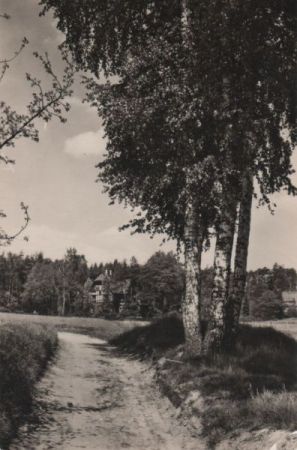 Dahlen-Schmannewitz - Birkenweg - 1958 Dahlen-Schmannewitz - Birkenweg - 1958