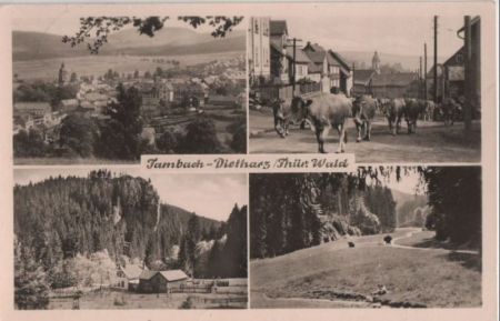 Tambach-Dietharz / Thüringer Wald - 4 Bilder Tambach-Dietharz / Thüringer Wald - 4 Bilder