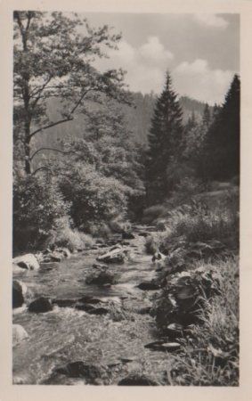 Waldgebirgsbach - ca. 1955 Waldgebirgsbach - ca. 1955