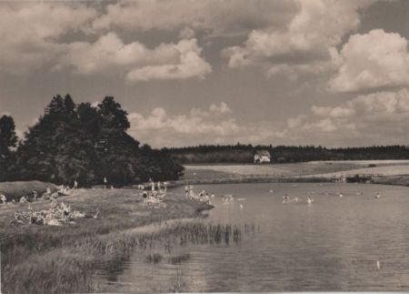 Tharandt-Grillenburg - Badeteich - 1967 Tharandt-Grillenburg - Badeteich - 1967