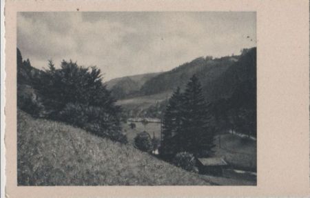 Blick ins Tal - ca. 1955 Blick ins Tal - ca. 1955