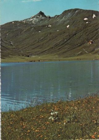 Österreich - Tappenkarseehütte - gegen Glingspitze - ca. 1975 Österreich - Tappenkarseehütte - gegen Glingspitze - ca. 1975