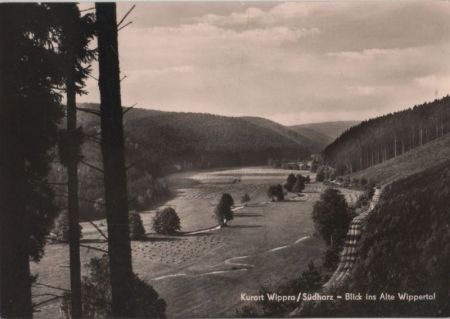 Wippra - Blick ins Alte Wippertal Wippra - Blick ins Alte Wippertal