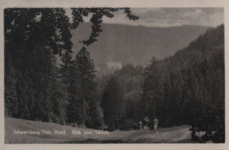 Schwarzburg - Blick zum Schloß - 1954 Schwarzburg - Blick zum Schloß - 1954