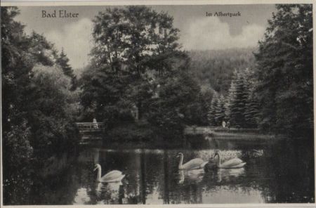 Bad Elster - Im Albertpark - ca. 1955 Bad Elster - Im Albertpark - ca. 1955