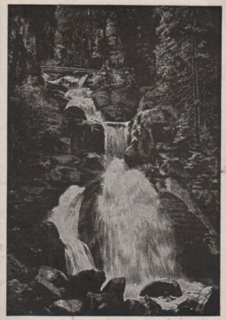 Triberg - Wasserfälle - ca. 1955 Triberg - Wasserfälle - ca. 1955