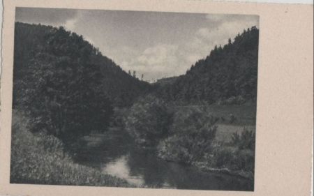 Bach im Waldtal - ca. 1955 Bach im Waldtal - ca. 1955