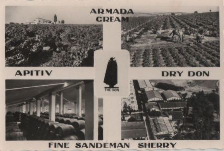 Spanien - Jerez de la Frontera - Sandeman Vineyards and Bodegas - ca. 1960 Spanien - Jerez de la Frontera - Sandeman Vineyards and Bodegas - ca. 1960