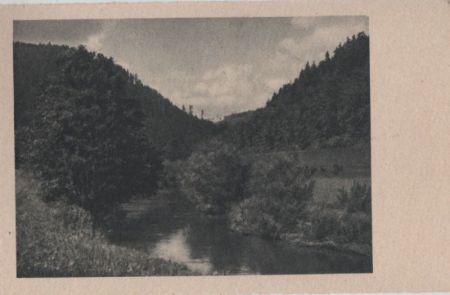 Kurviger Bachlauf - ca. 1955 Kurviger Bachlauf - ca. 1955