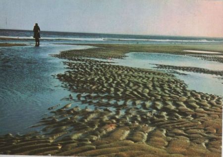 Wanderung am Meer - 1978 Wanderung am Meer - 1978