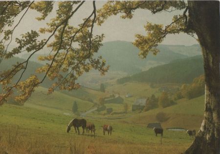 Vöhrenbach - Herbststimmung - ca. 1980 Vöhrenbach - Herbststimmung - ca. 1980