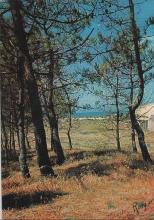 Frankreich - Notre-Dame-de-Monts - 1967 Frankreich - Notre-Dame-de-Monts - 1967