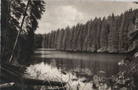 Braunlage - Der Silberteich - 1959 Braunlage - Der Silberteich - 1959