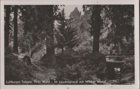 Tabarz - Im Lauchagrund mit Wilder Wand - 1952 Tabarz - Im Lauchagrund mit Wilder Wand - 1952
