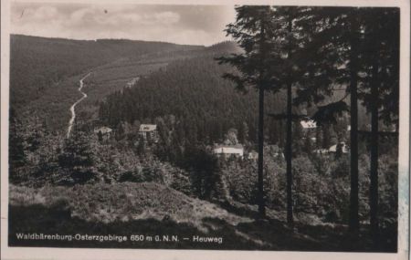 Altenberg-Waldbärenburg - Heuweg - 1940 Altenberg-Waldbärenburg - Heuweg - 1940